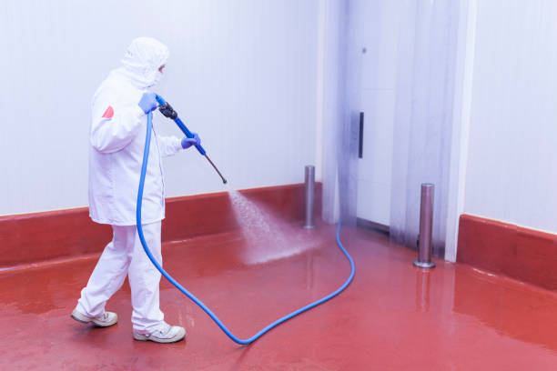 Best Pre-Holiday Cleaning  in Pearl River, NY